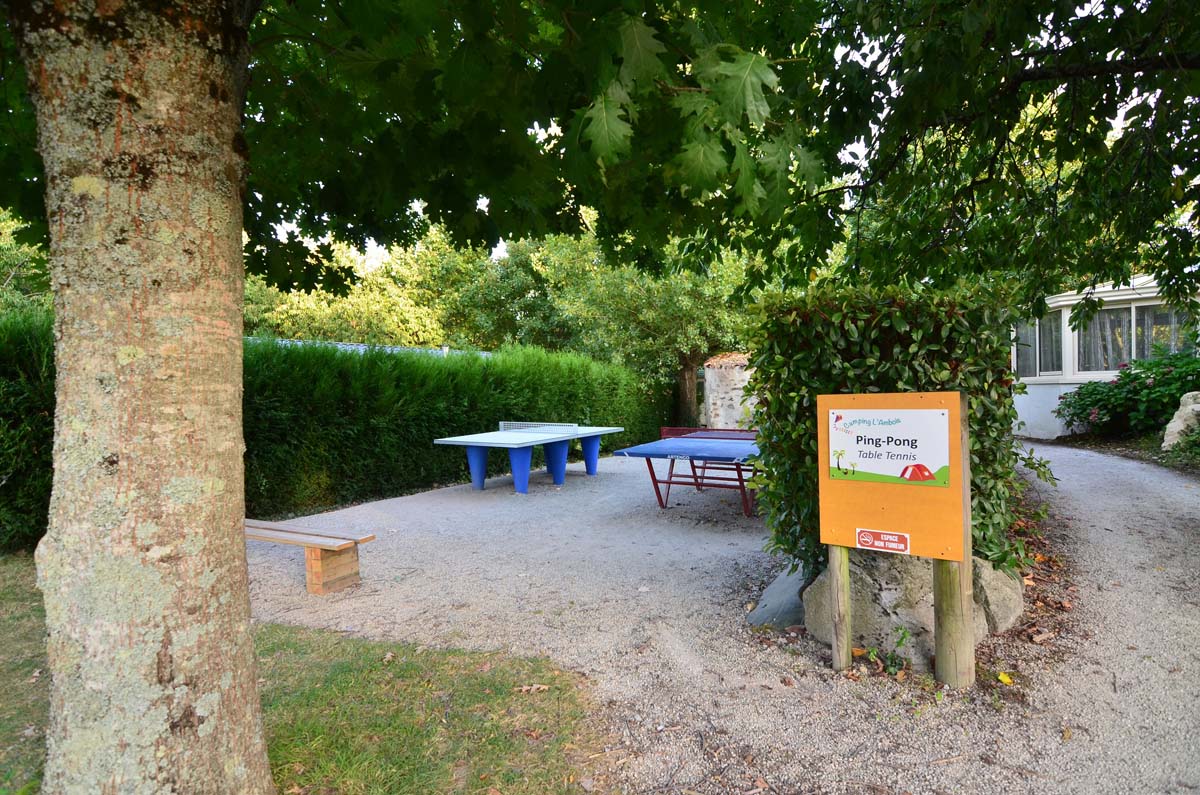 camping avec aire de ping pong en Vendée