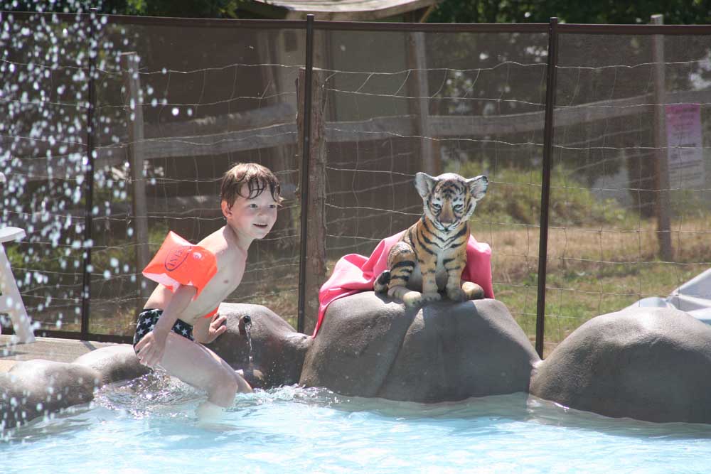 Camping pour les petites et grandes familles