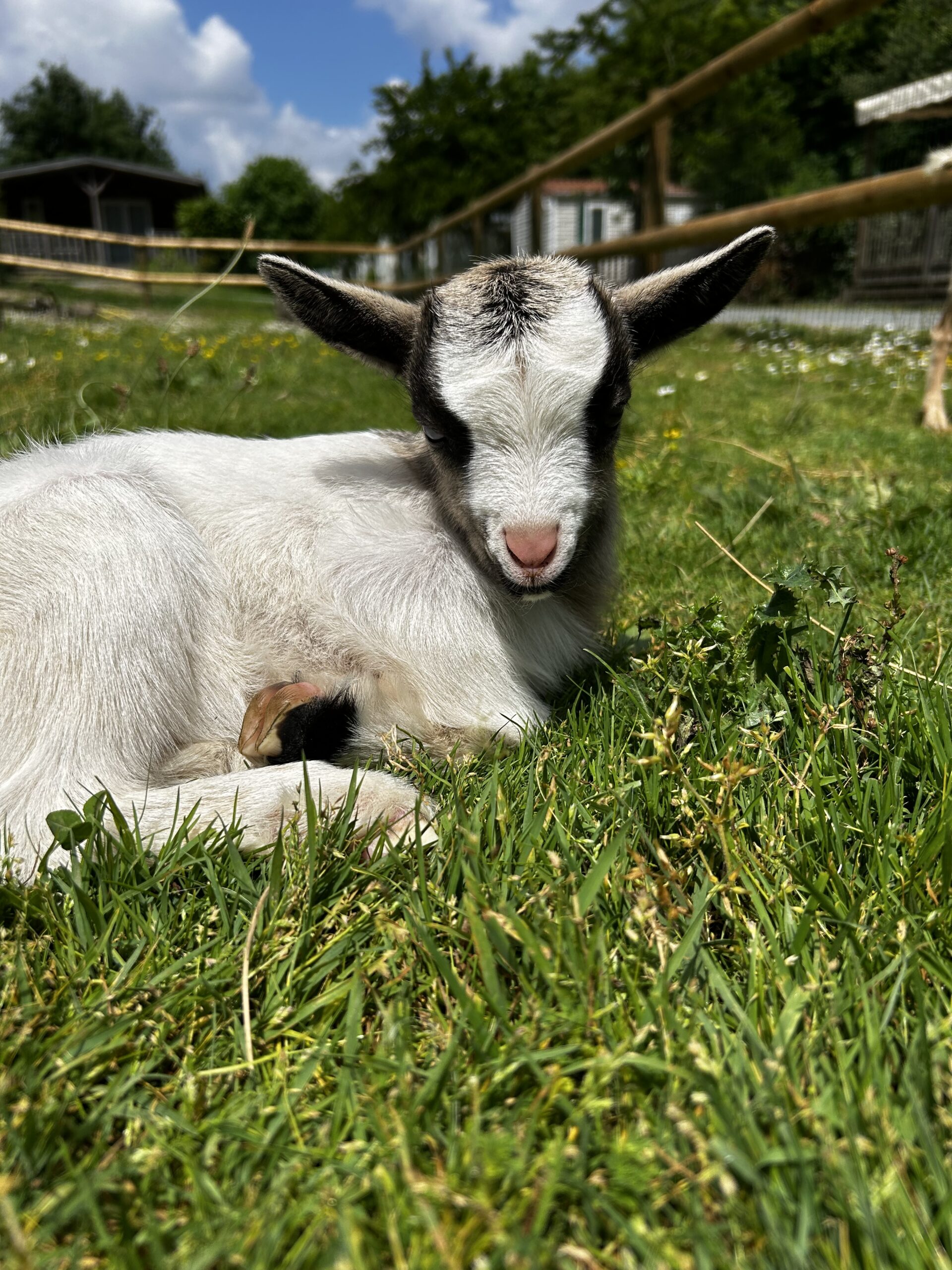 camping eco responsable en Vendée