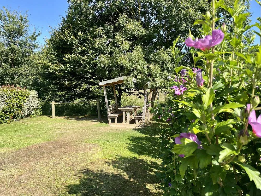 emplacement avec verdure au camping l'ambois en Vendée