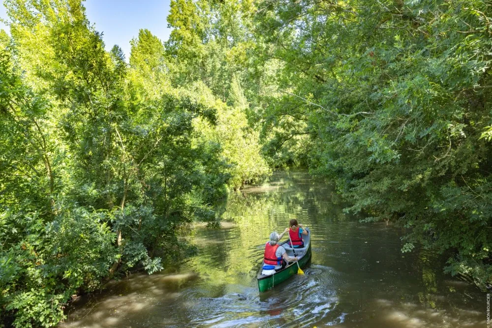 Top 5 des activités à faire en Vendée