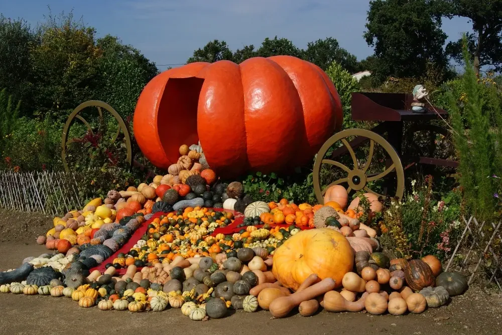 Le potager extraodinaire